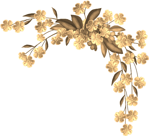 Descubre Ideas Sobre Diplomas Resultado De Imagen De - Buon Compleanno Mena (499x457), Png Download