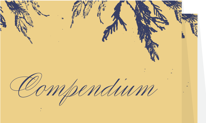 Featuring Varied Amounts Of Flourish And Swash, Candlescript - Font (720x500), Png Download