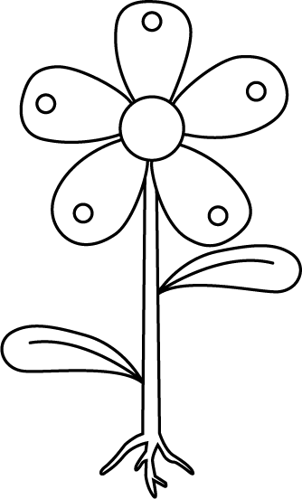 Flower With Roots Clip Art - Black And White Flower With Roots Clipart (334x552), Png Download