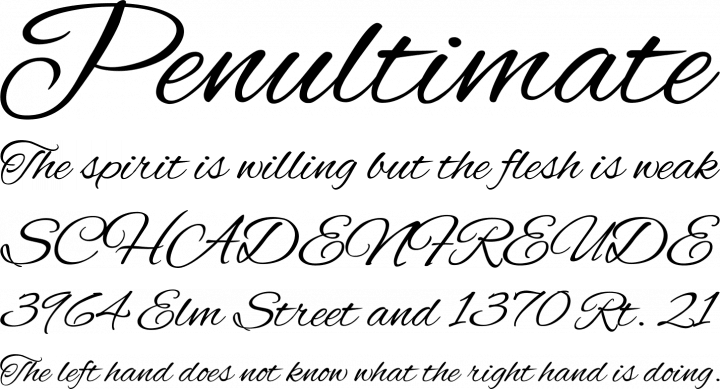 Alex Brush Font Phrases - Alex Brush Font (720x390), Png Download