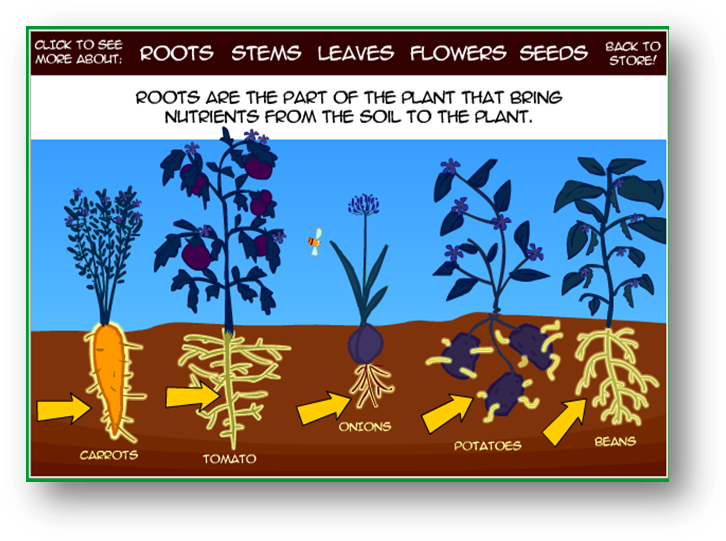 Roots - Graphic Design (741x554), Png Download