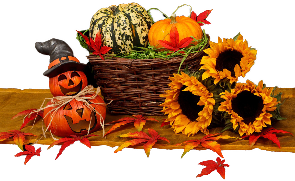 Halloween, Harvest, Autumn - Glücklicher Halloween-kürbis Rechteckiger Aufkleber (1205x808), Png Download