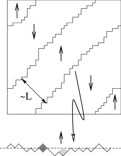Diagonal Stripe Configuration On The Square Lattice - Diagram (418x536), Png Download
