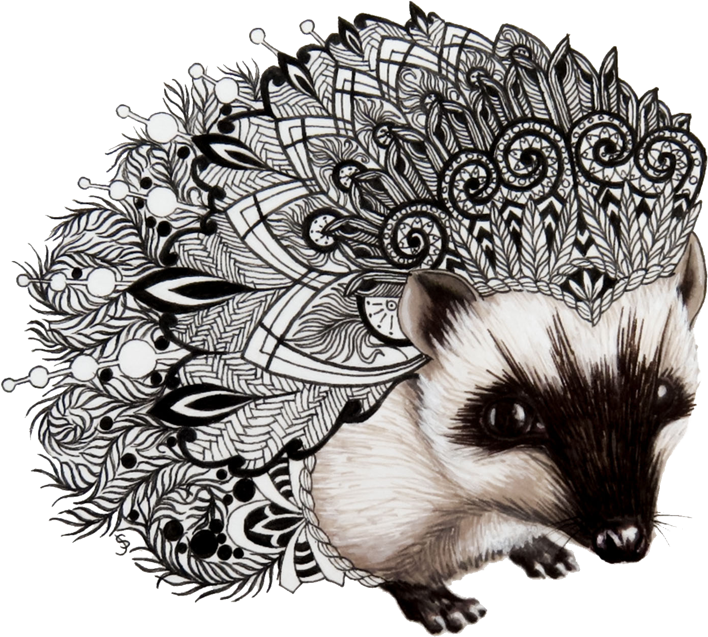 Hedgehog Zentangle - Zentangle Hedgehog (1576x1576), Png Download