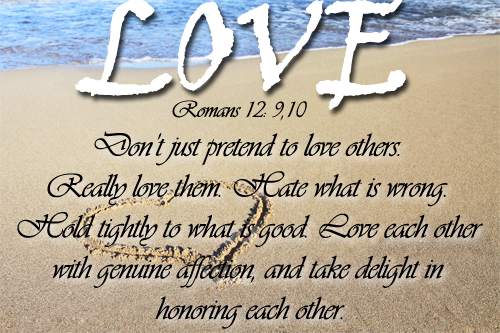 Romans 12 Bible Verse - Heart Journal: Blank 200 Page Journal (500x333), Png Download