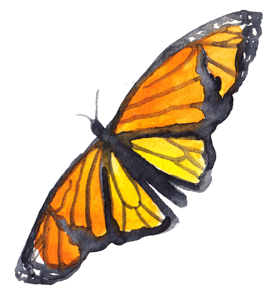 Png Ornamental Para Ala Amarilla Mariposa Transparente - Wall Art Print By Artdash ~ Henry David Thoreau: 'happiness (1024x1030), Png Download