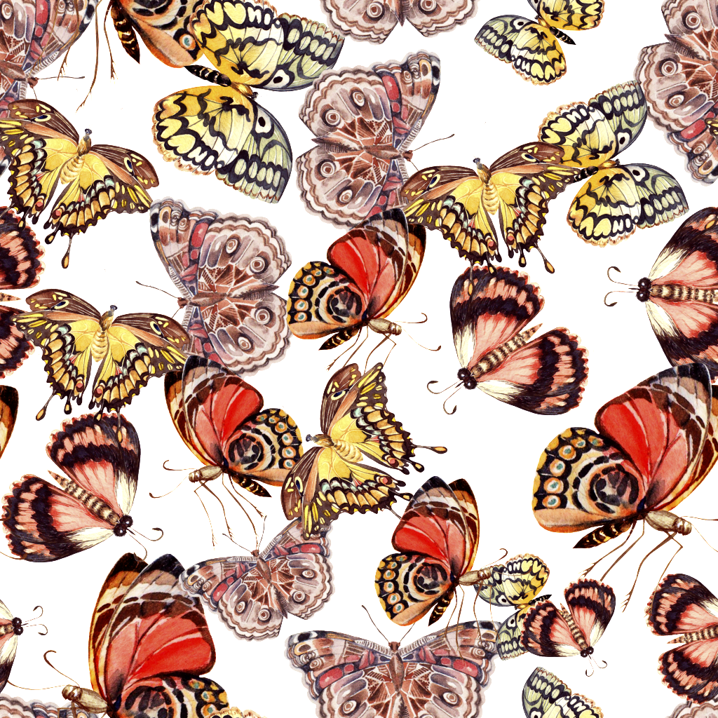 Png Gráfico Png Transparente Fondo Pintado De Mariposas - Portable Network Graphics (1024x1024), Png Download