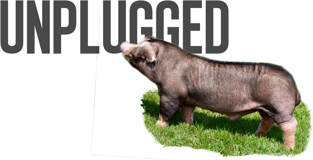 Nirvana X Big Deal - Quote Pink (1131x576), Png Download