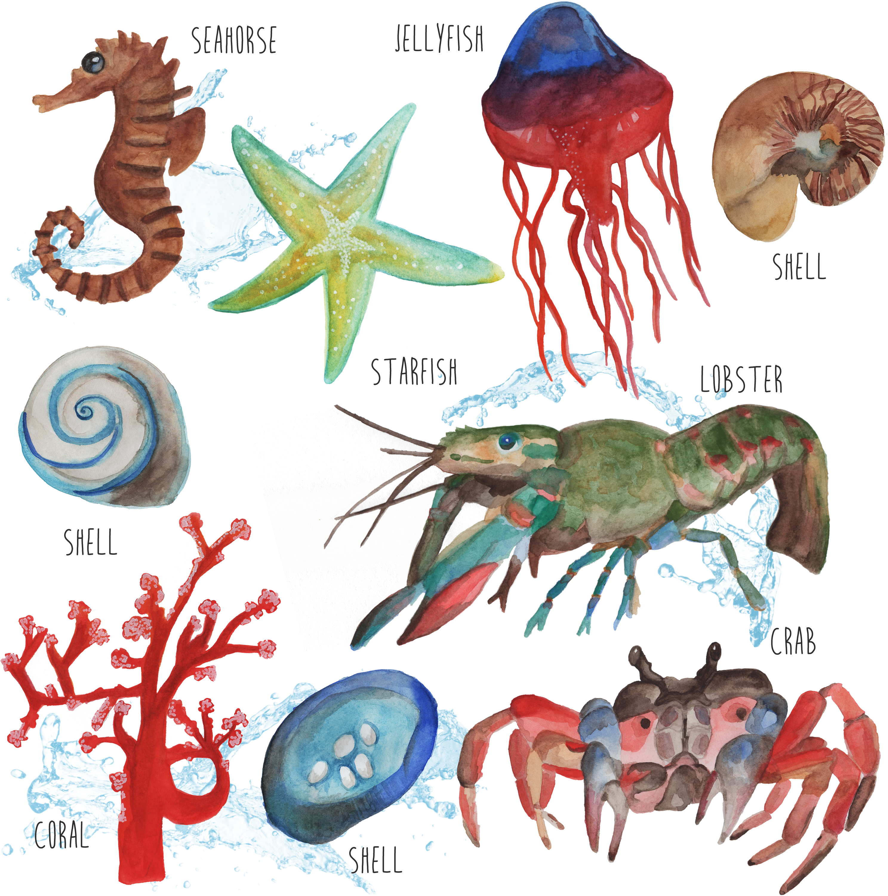 Podívejte Se Na Můj Projekt @behance - Crab (3000x3000), Png Download