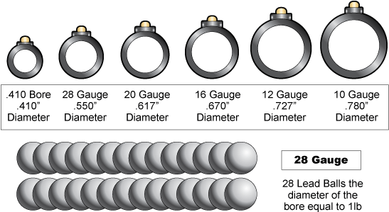 Understanding Gauges - Shotgun Gauge (655x315), Png Download