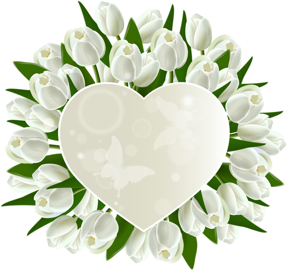 0, - Special Birthday Marathi Birthday Wishes (600x564), Png Download