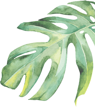 Flower - Love (372x416), Png Download