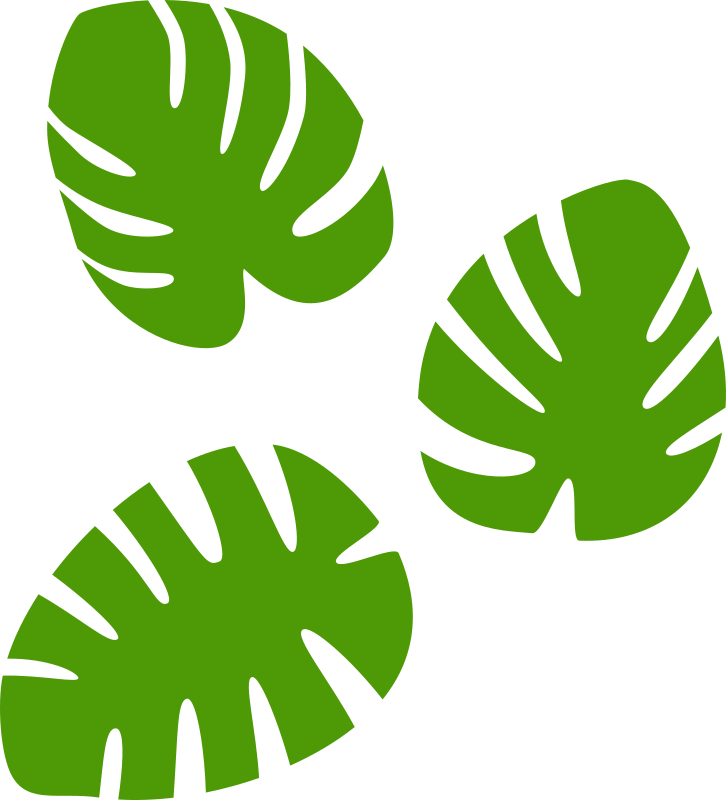Medium Image - Monstera Clipart (726x800), Png Download