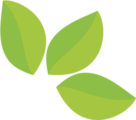 El Bienestar En Una Taza De Té - Tree (601x491), Png Download