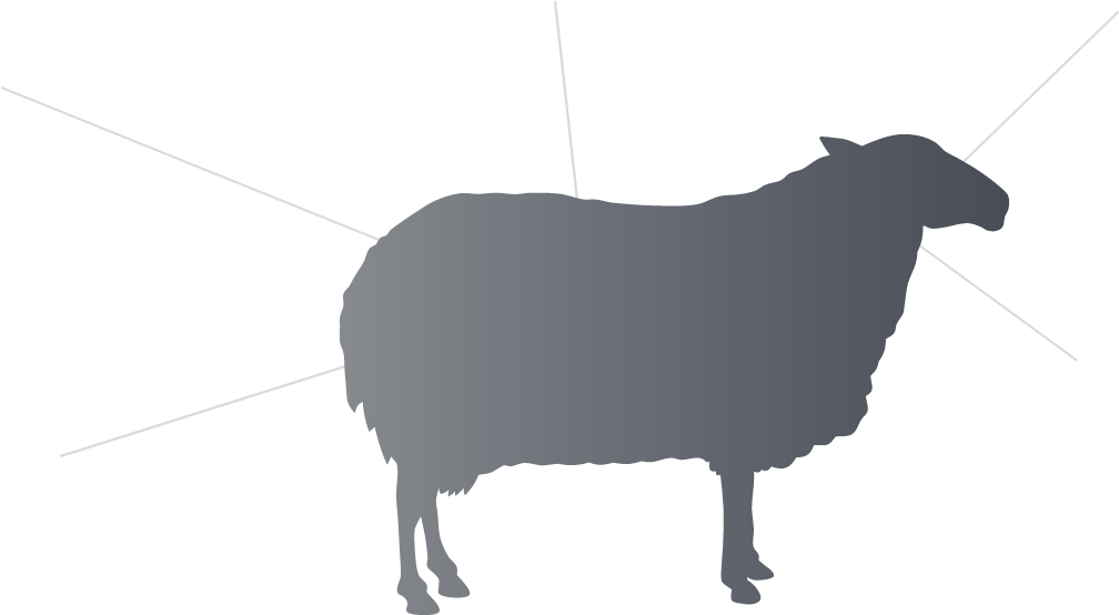 Roll Over Or Press The Graphic For Information - Lamb Eat Silhouette (1370x590), Png Download