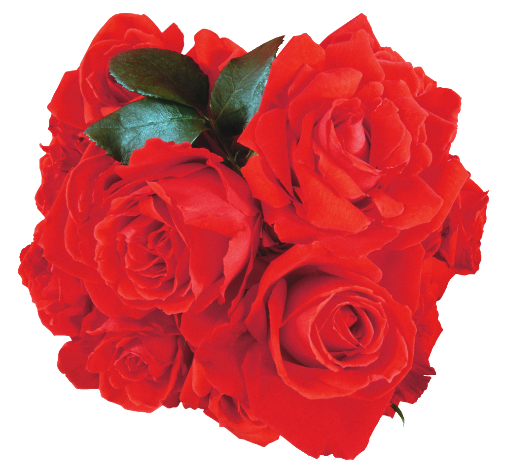A Rose Bouquet Of Red Roses - Floribunda (1024x956), Png Download