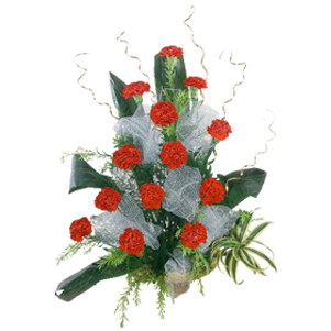 Carnation (465x465), Png Download