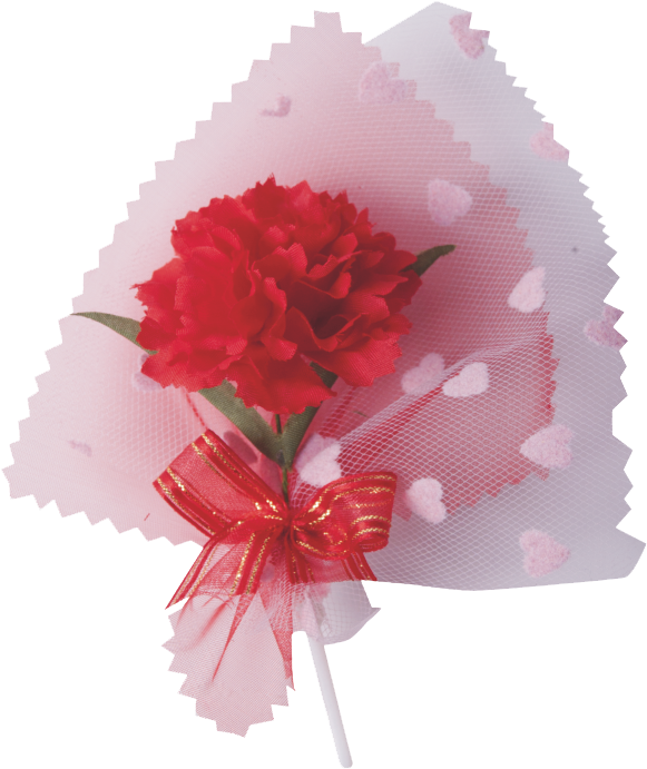 Red Carnations - Artificial Flower (800x800), Png Download