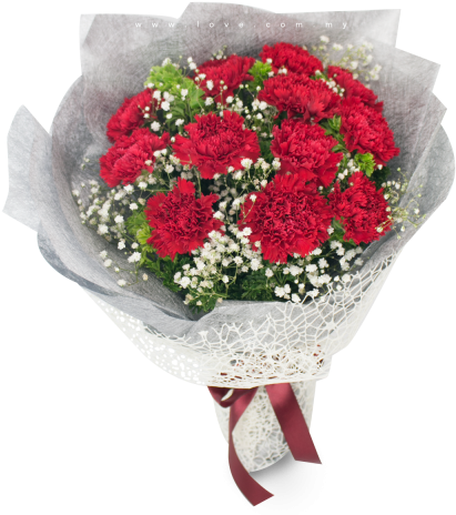 Carnation Bouquet - Mother's Day (480x480), Png Download