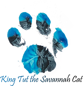 In Order To Offer A Wider Selection Of Merchandise, - Dog Vector Icon (480x374), Png Download