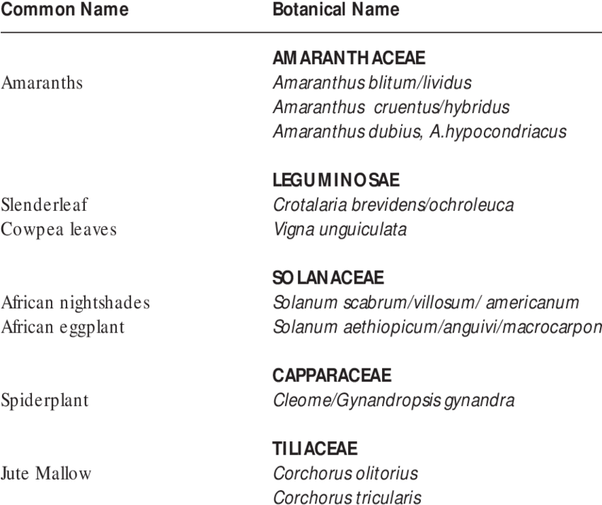 Some African Indigenous Vegetable Found On The Continent - Continent (850x726), Png Download