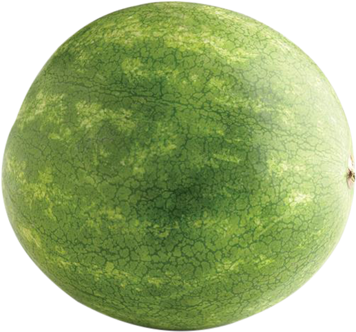 Whole Watermelon - Aeon Shinagawa Seaside (600x560), Png Download