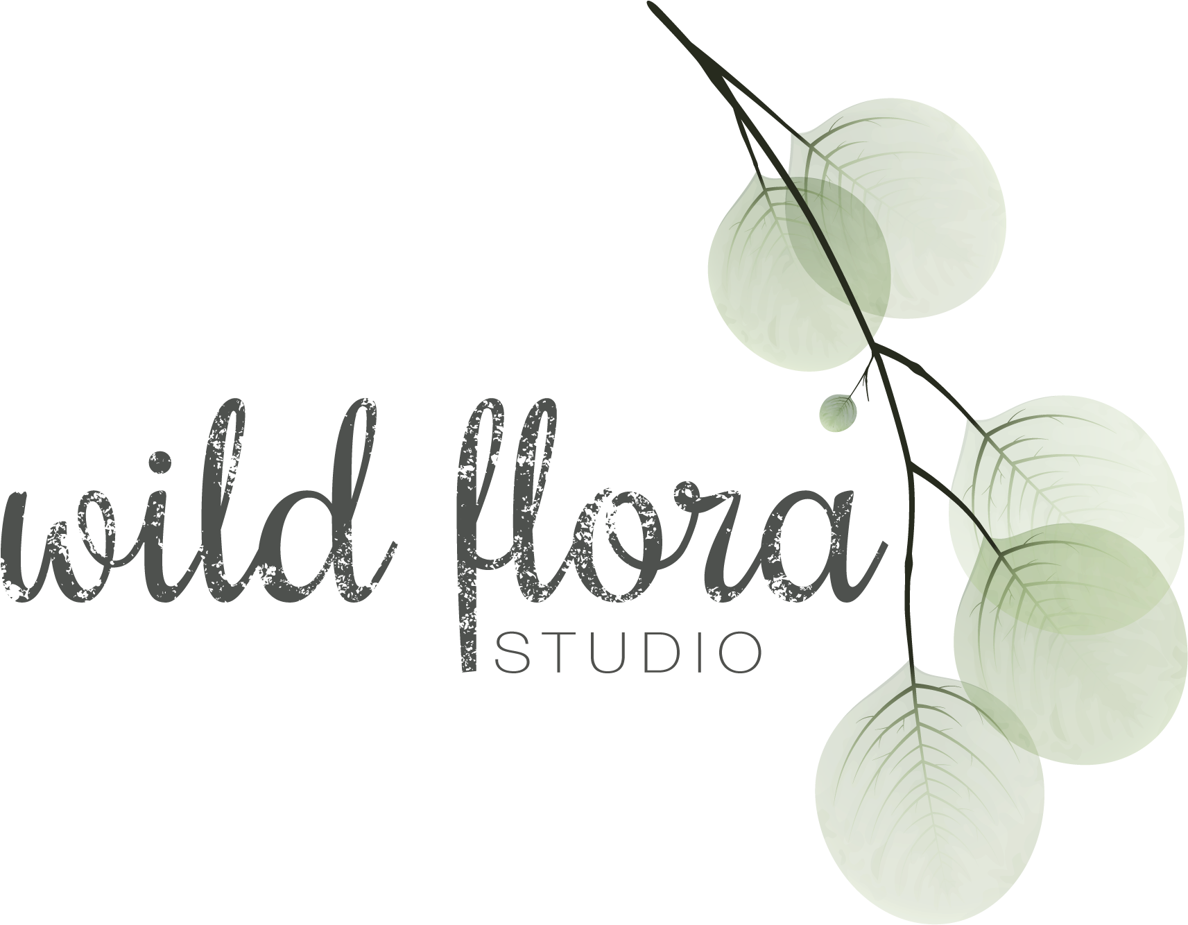 Wild Flora Studio - Portable Network Graphics (2880x1680), Png Download