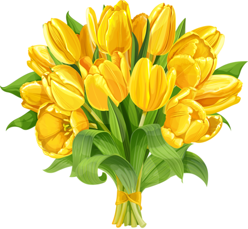 Tulip Clipart, Flower Clipart, Yellow Flowers, Art - พื้น หลัง ดอกไม้ สี เหลือง (500x461), Png Download