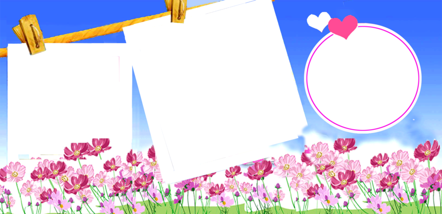 Download 花 矢量 图 Clipart Tulip Petal Tulip Flower Sky - Knife (900x437), Png Download