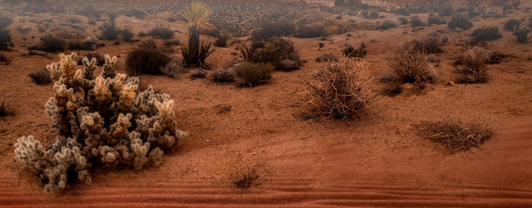 Ground-fade - Joshua Tree National Park (1080x422), Png Download