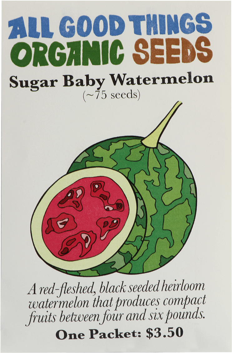 Sugar Baby Watermelon - Watermelon (1200x1200), Png Download