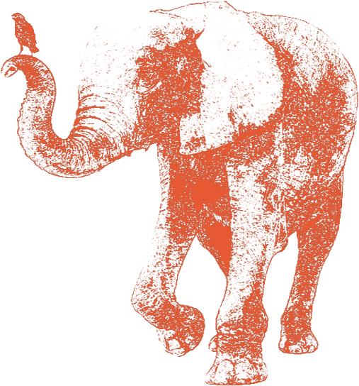 Elephant With A Bird On Its Trunk - Expense Management (665x565), Png Download