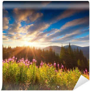 Beautiful Autumn Landscape In The Mountains With Pink - Photography (400x400), Png Download