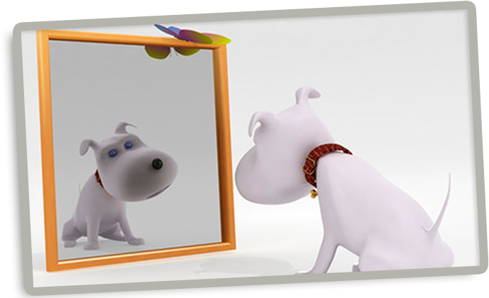 Cursos - Casa De Los Mil Espejos (745x419), Png Download