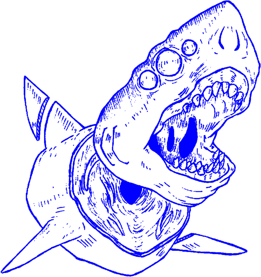 Aesthetic Art Lineart Outline Shark Sharks Decapitated - Shark Aesthetic Png (873x924), Png Download