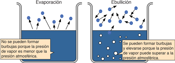 Pero En El Punto De Ebullición, La Presión De Vapor - Boiling And Evaporation (602x229), Png Download
