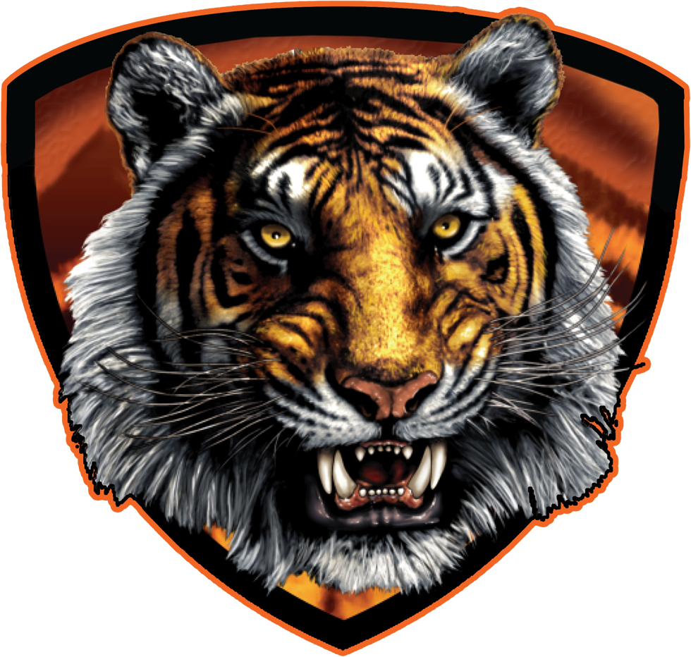 Ogden Tigers (980x932), Png Download
