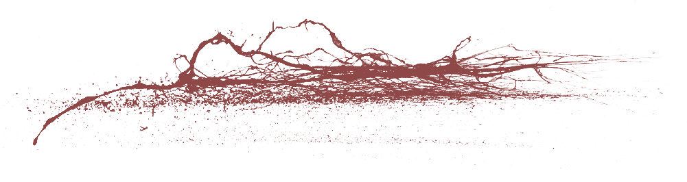 06 Feb 2009 - Tree (1024x265), Png Download