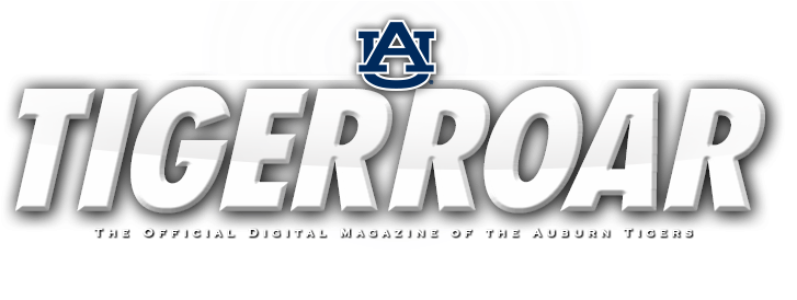 Auburn Tigers (768x1024), Png Download