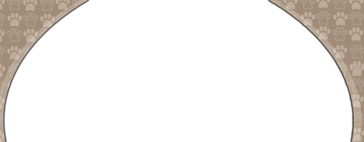 Request An Appointment With Rapport Online Pharmacy - Cowboy Frame Transparent Png (1280x500), Png Download