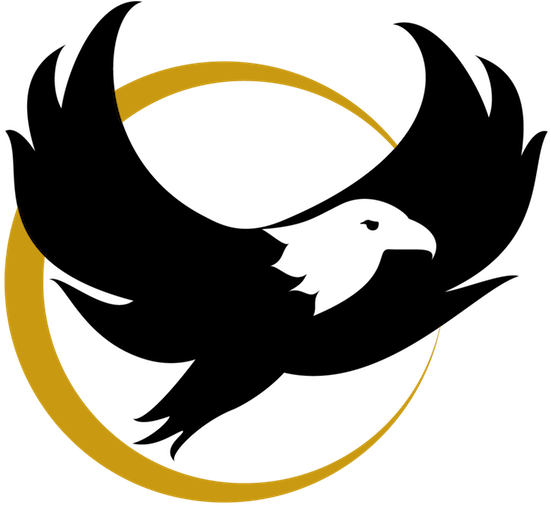 Rebel Med Nw (551x540), Png Download