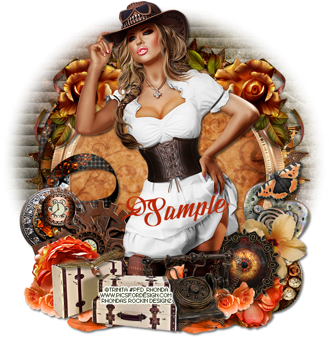 Steampunk Cowboy - Ptu - Voyager Set Of 3 Antique Style Suitcases (700x700), Png Download