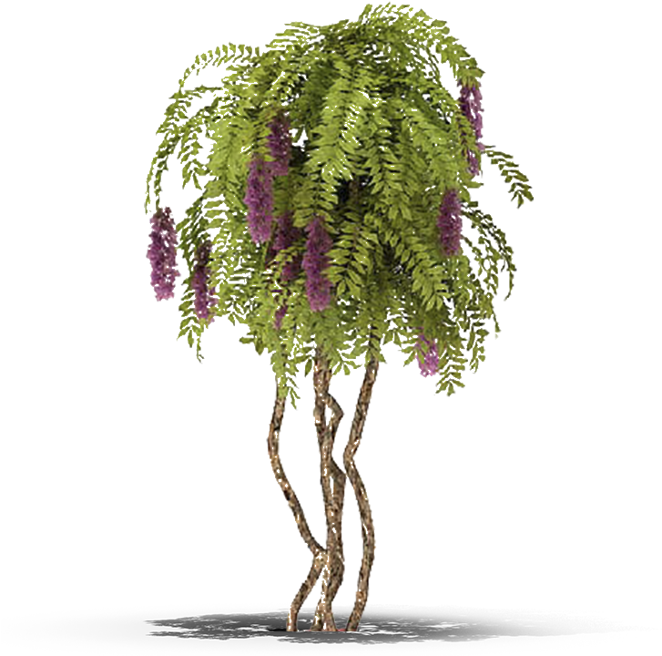 View In My Picture - 室内 植物 (726x726), Png Download