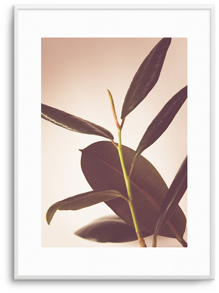 Twig (937x1181), Png Download
