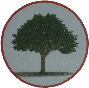 Neem Tree (407x387), Png Download