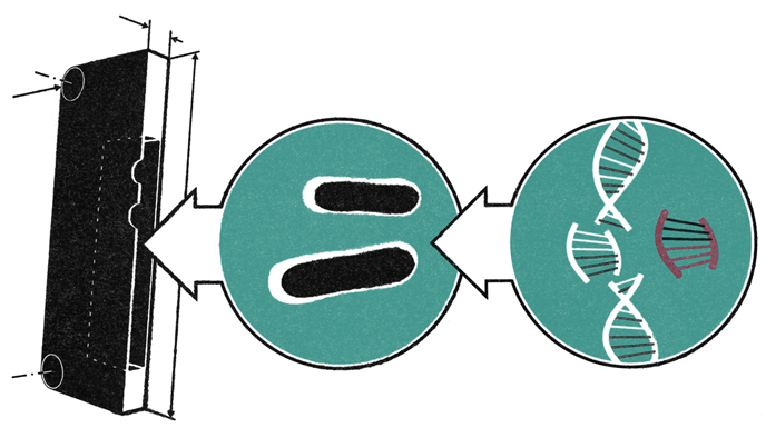 Emblem (700x395), Png Download
