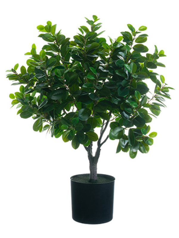 34" East Ficus Ball Topiary In Pot Green - Silk Plants Direct Ficus Ball Topiary - Green - Pack (800x800), Png Download
