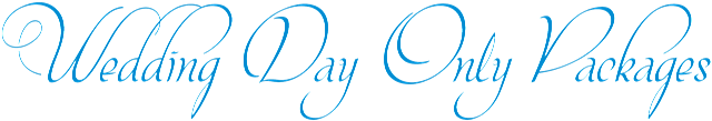 Wedding Day Packagees Header - Our Wedding Day Png (718x168), Png Download