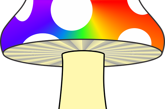 Mushroom-1605869 960 - Rainbow Toad Stool Round Ornament (561x372), Png Download