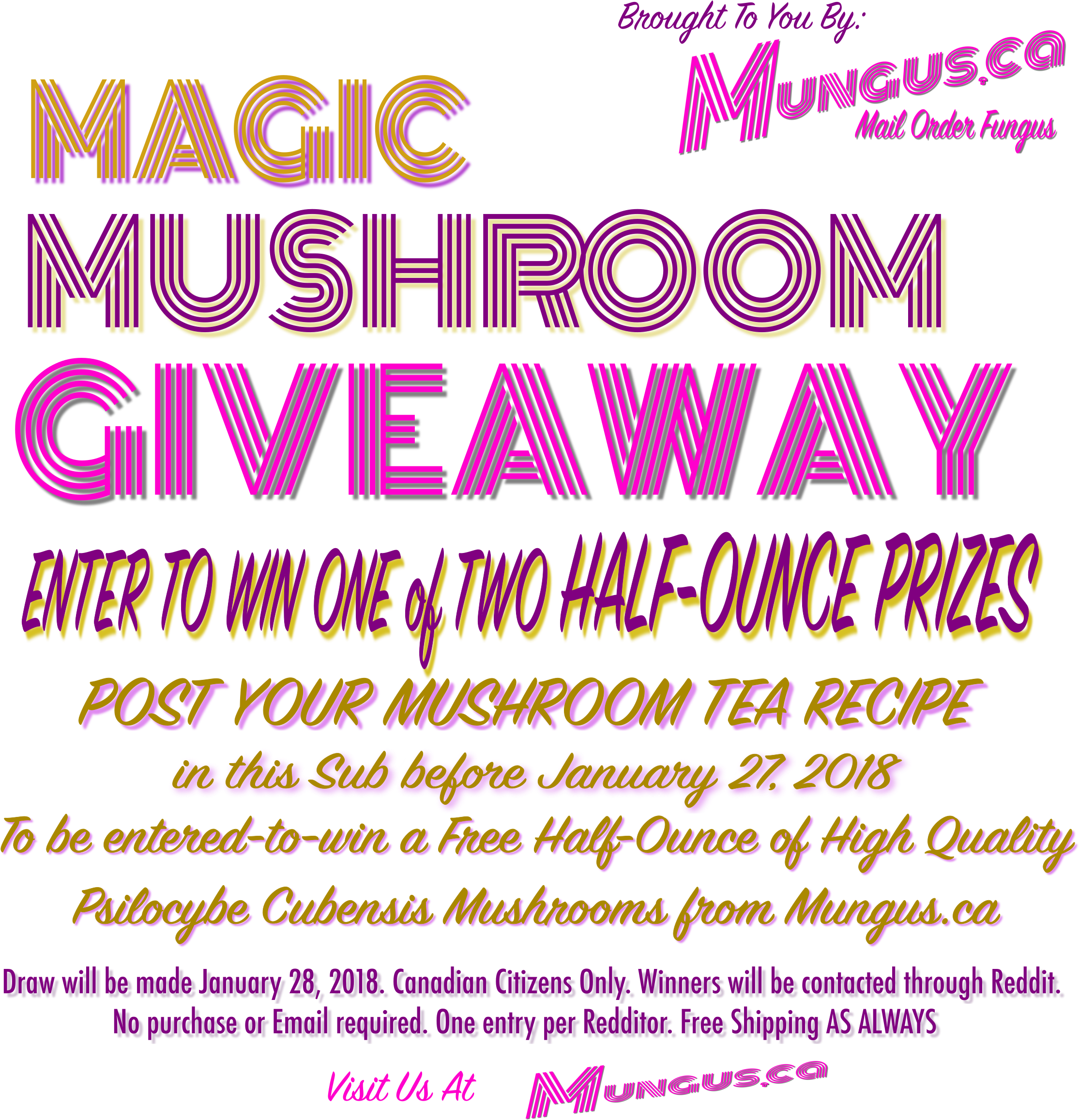 Magic Mushroom Giveaway - Poster (2662x2320), Png Download